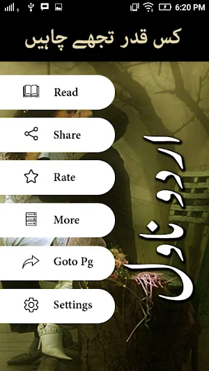 Kis Qadar Tujhe Chaheen by Sadia Abid - Offline Screenshot 1