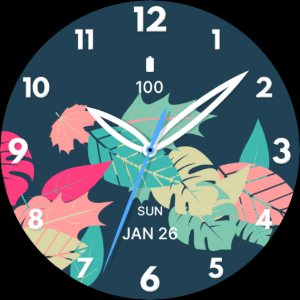 Leaf Deluxe Watch Face Screenshot 3