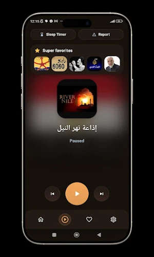 Radio Egypt - راديو مصر Screenshot 3
