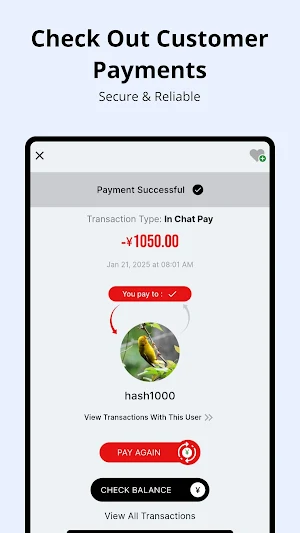 NaskoChina Screenshot 3