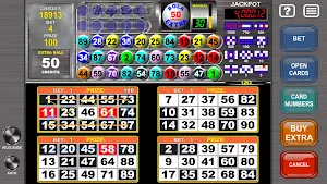 Video Bingo Mega Ball Flex Screenshot 1