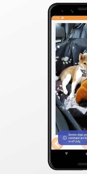 Dog Images and Facts Screenshot 2