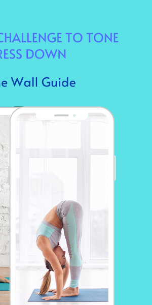 Pilates On The Wall Guide Screenshot 1