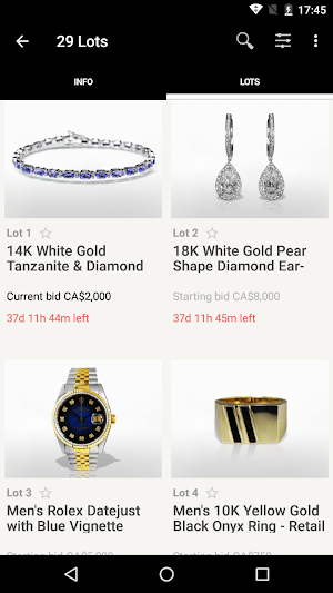 Federal Auction Service Screenshot 2