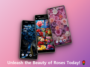 Rose flower wallpapers offline Screenshot 3