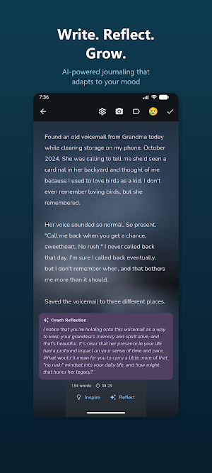 Vibe Journal: AI Daily Diary Screenshot 0