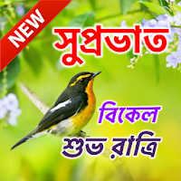 Bengali Good Morning Afternoon & Good Night Wishes