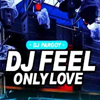 DJ Feel Only Love