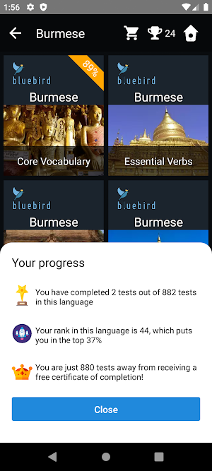 Burmese Language Tests Screenshot 2