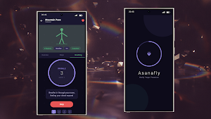 Asanafly Screenshot 2