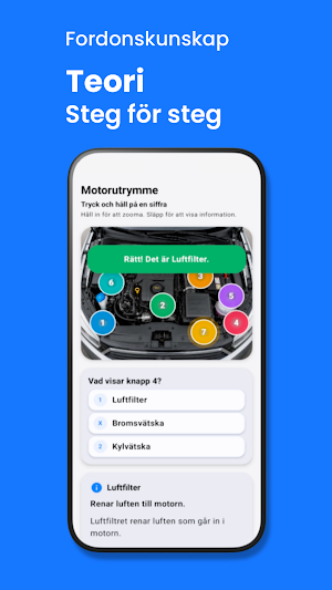 Körkort idag Screenshot 1