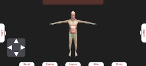 Irusu 3D Human Anatomy Screenshot 1