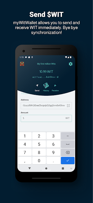 myWitWallet Screenshot 1
