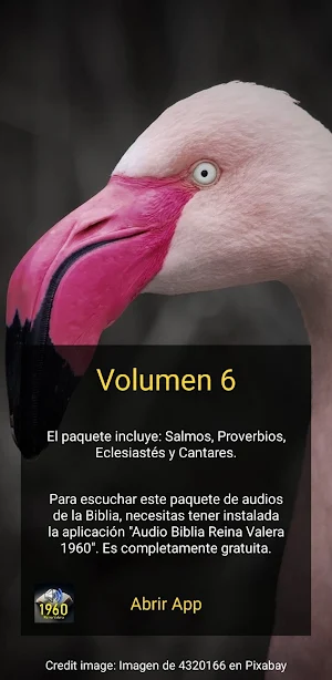 Pack6 Lectura Bíblica Screenshot 1