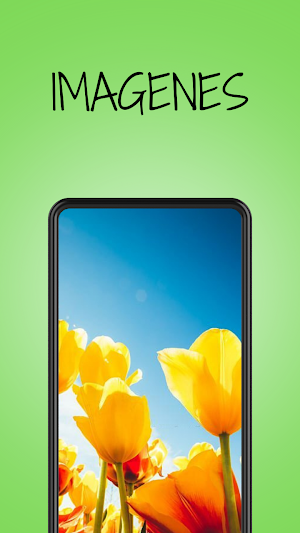 Pretty Flowers Images Screenshot 0