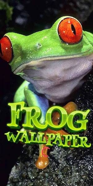 cute frog wallpaper Screenshot 0