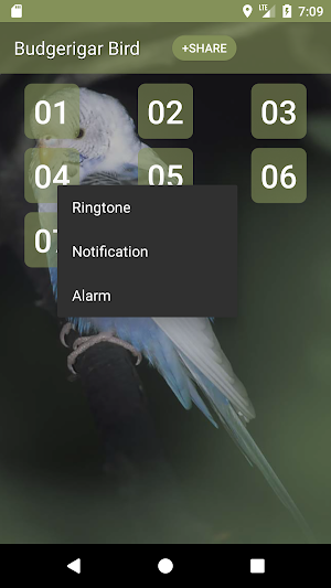 Budgerigar Bird Sounds Screenshot 1