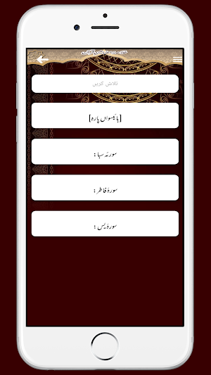 Khulasae Mazamine Quran قرآن Screenshot 2