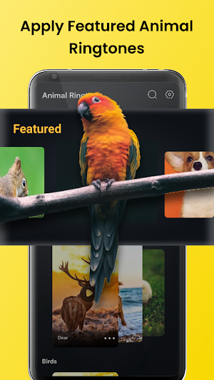 Animal Sounds - Bird Ringtones Screenshot 1