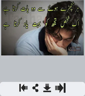 Yaadein Shayari Screenshot 1