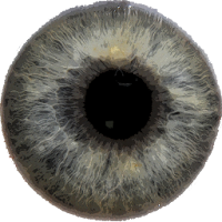 Eye Diagnosis