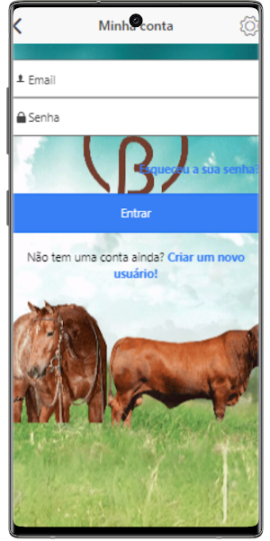 Terra Muitíssimo Boa Screenshot 2