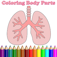 Coloring Body Parts