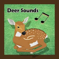 Deer Sounds