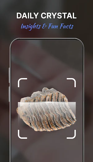 Rock Identifier: Crystal Rock Screenshot 1