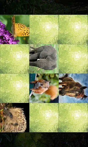 Animals Memo Screenshot 1