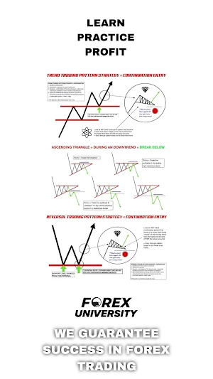 Forex University Screenshot 3