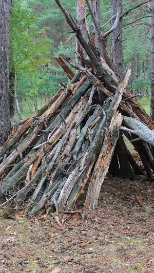 Wilderness Survival Wallpaper Screenshot 2