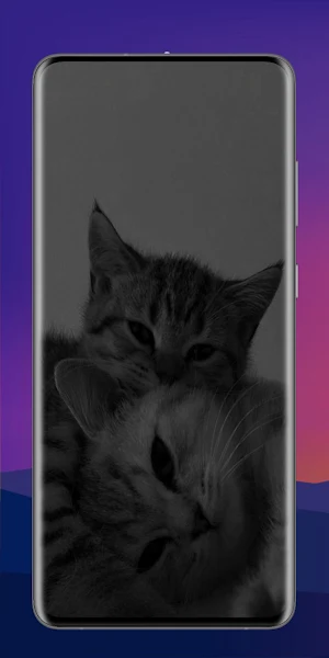 Cats 4K Wallpaper Screenshot 0