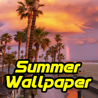 Summer Aesthetic Wallpaper