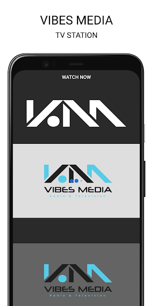 Vibes Media Belize Screenshot 2