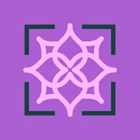 Суккуленты и кактусы Флоулис