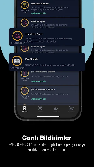 Peugeot Link Screenshot 3