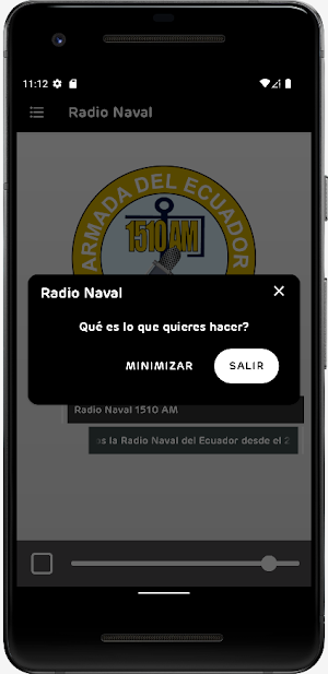 Radio Naval Screenshot 3