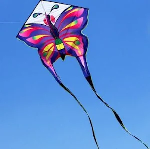 Beautiful Kites Screenshot 3