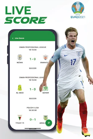 UEFA EURO CUP Screenshot 1