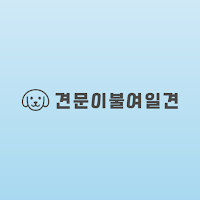 See is better than see