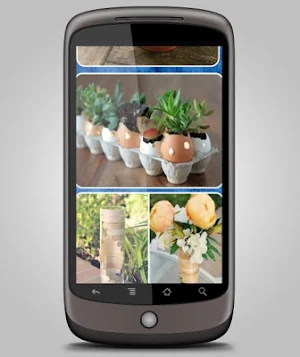 Plants Decorating Idea Screenshot 3