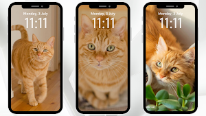 Orange Cat Wallpaper Screenshot 2