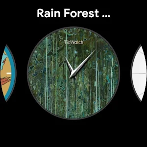 Rain Forest Screenshot 1