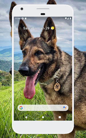 German Shepherd Wallpapers Screenshot 2
