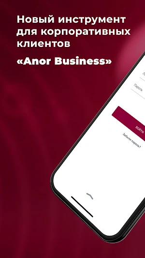 Anor Business Screenshot 0