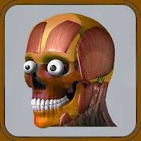 Human Anatomy 4D-Mixed Realit‪y