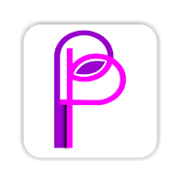 Padiepal – Trade, Pay & Invest