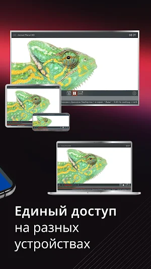 АКАДО ТВ Screenshot 1