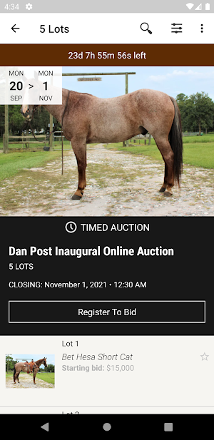 Dan Post Quarter Horse Auction Screenshot 1
